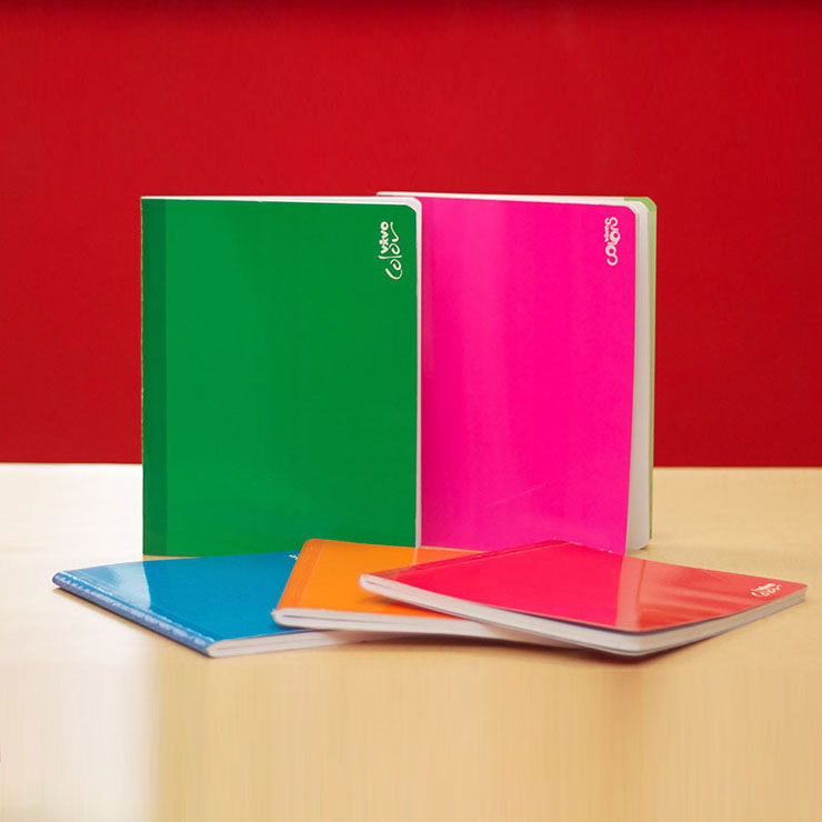 CUADERNO DOBLE LINEA 100 HOJAS