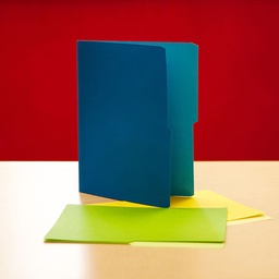 FOLDER CARTA COLORES
